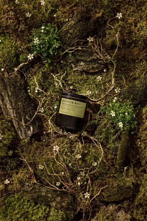 Alchemy Soy Candle Geranium Moss