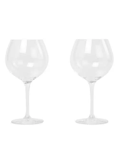 Gin glazen set van 2