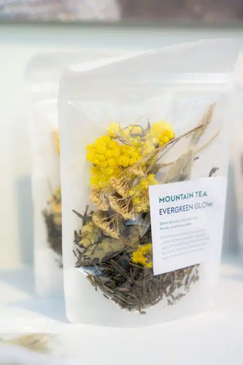 Mountain Tea Evergreen Glow