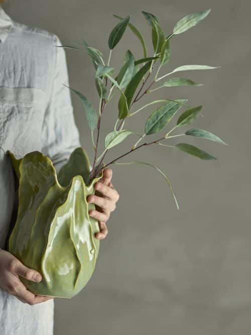 Eucalyptus tak groen