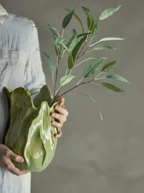 Eucalyptus tak groen