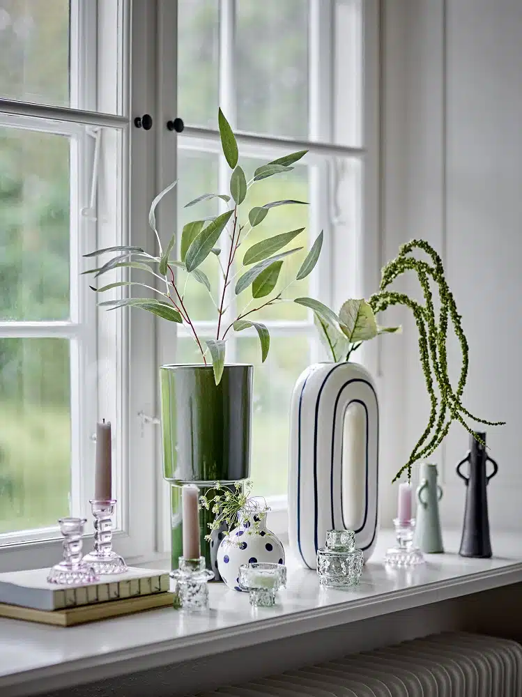 Eucalyptus tak groen