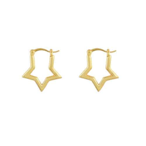 Oorbellen Gouden ster creool