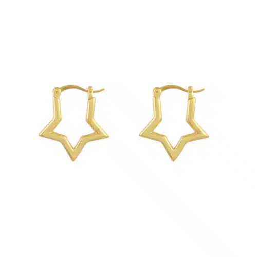 Oorbellen Gouden ster creool