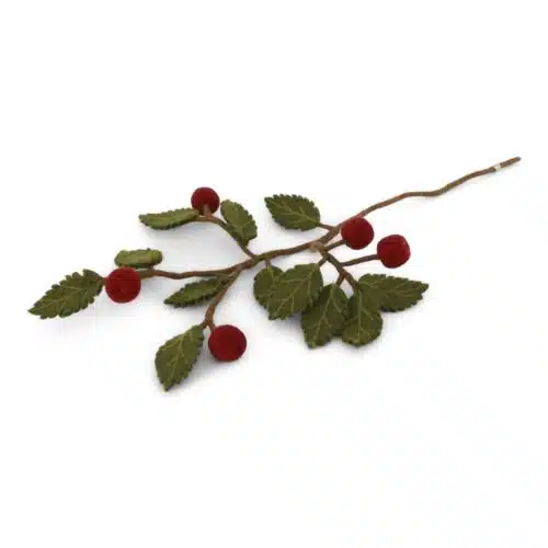 Tak vilt met donkerrode appeltjes