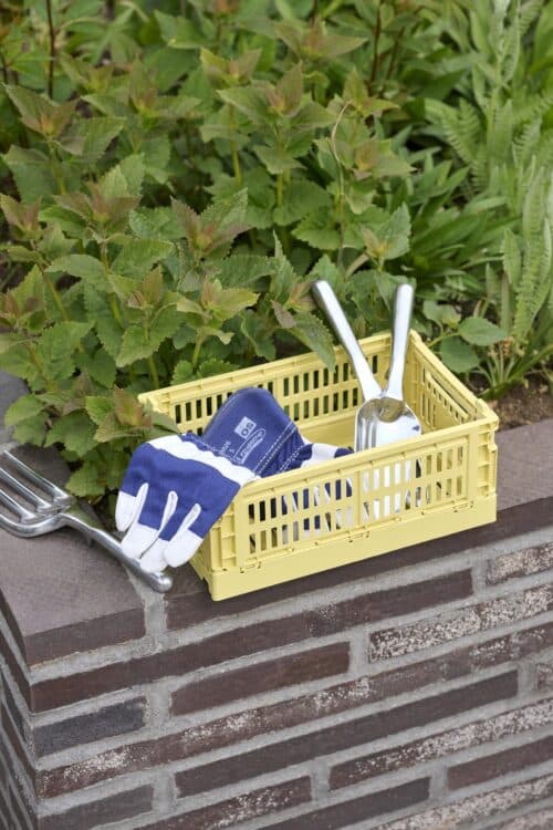 Colour crate Small olive