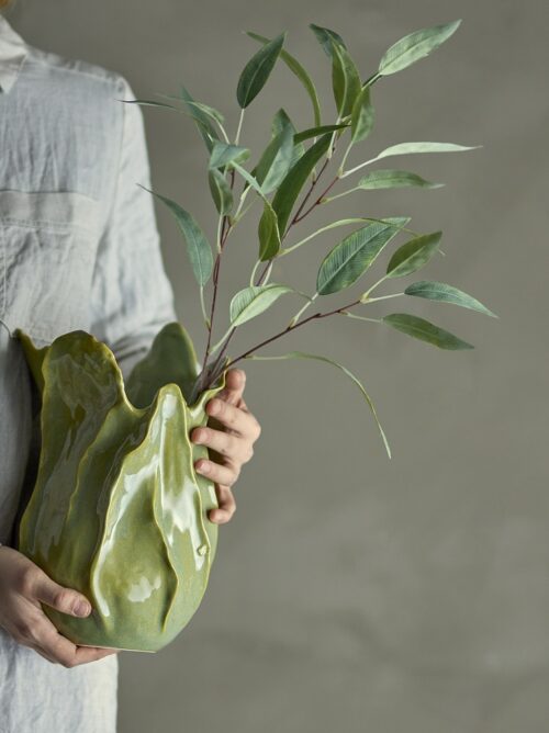 Eucalyptus tak groen