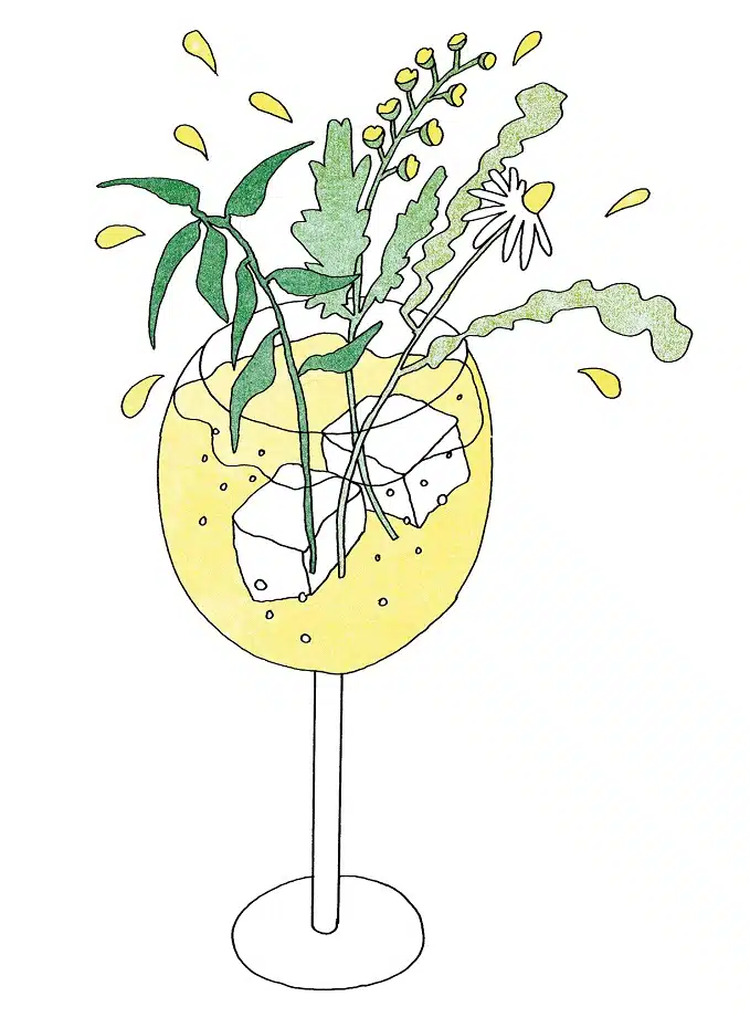 Foraged Tonic siroop 690ml