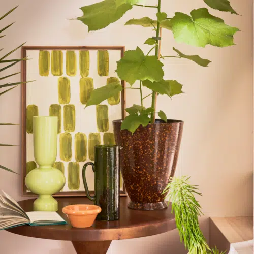 Jug Hammered Banana Palm