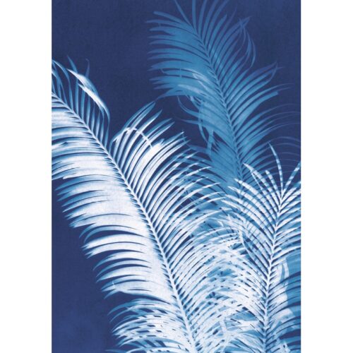 Kaart Island Shadows Midnight Palms