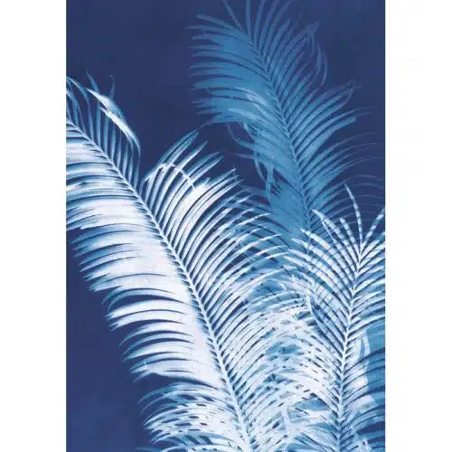 Kaart Island Shadows Midnight Palms