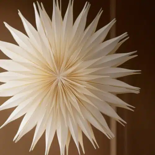 Paper Star Venus White 60cm