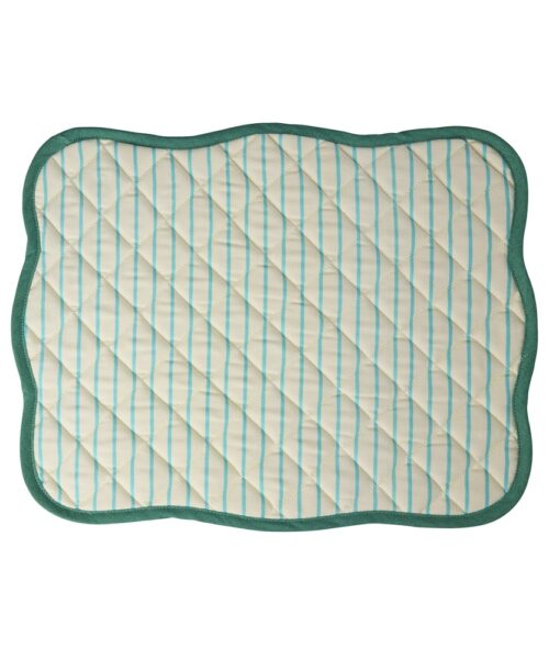 Quilted Placemat Mint Stripes / Green Edge