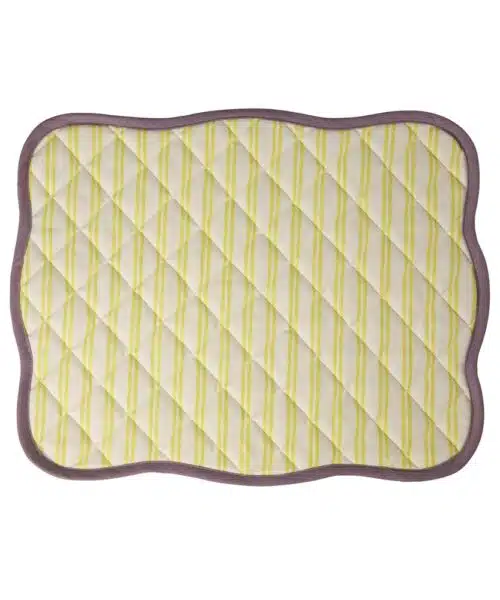 Quilted Placemat Yellow Stripes / Purple Edge