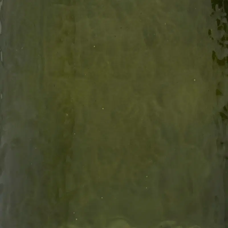 Tumbler Hammered Banana Palm