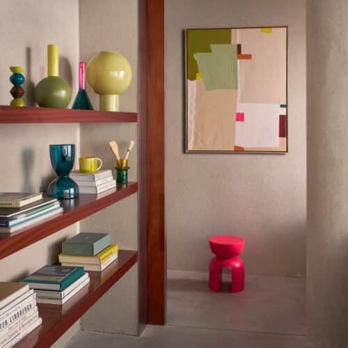 Vaas Ebbe green heron