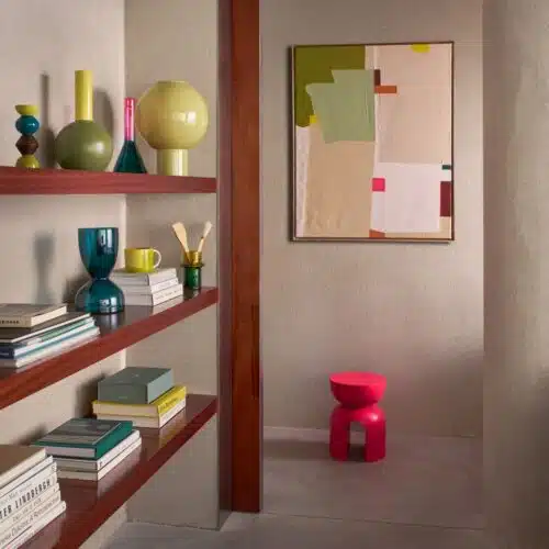 Vaas Ebbe green heron