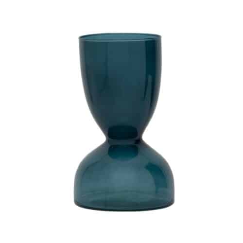 Vaas Ebbe green heron