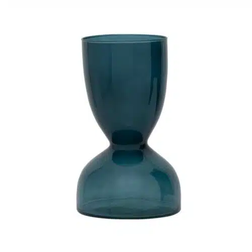 Vaas Ebbe green heron