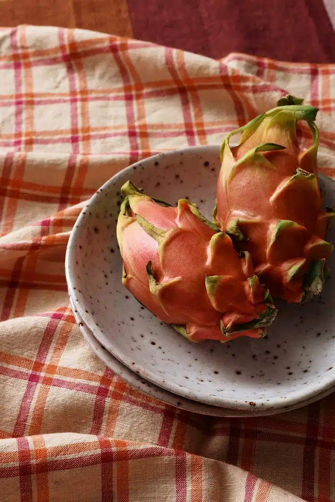 70's ceramic Curry Bowls set/2 Hibiscus