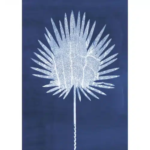 Kaart Island Shadows Fan Palm