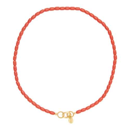 Ketting koraal met slotje