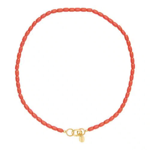 Ketting koraal met slotje