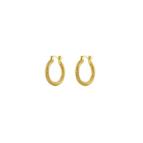 Oorbellen Gouden Hoops