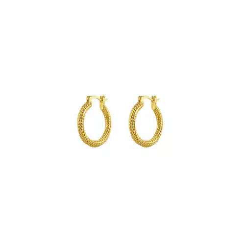 Oorbellen Gouden Hoops