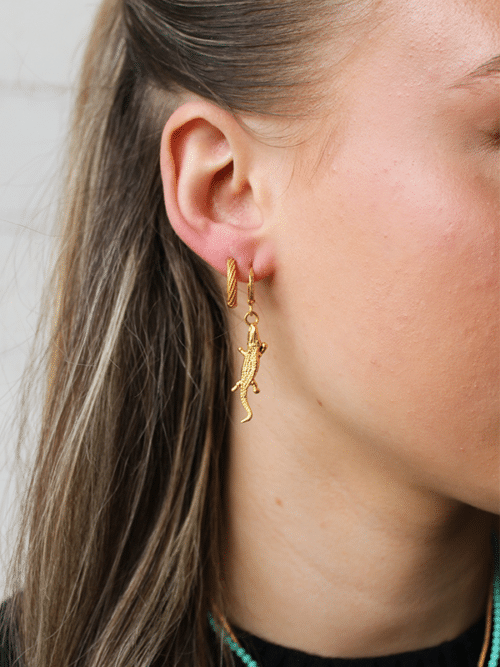 Oorbellen Mini Krokodillen