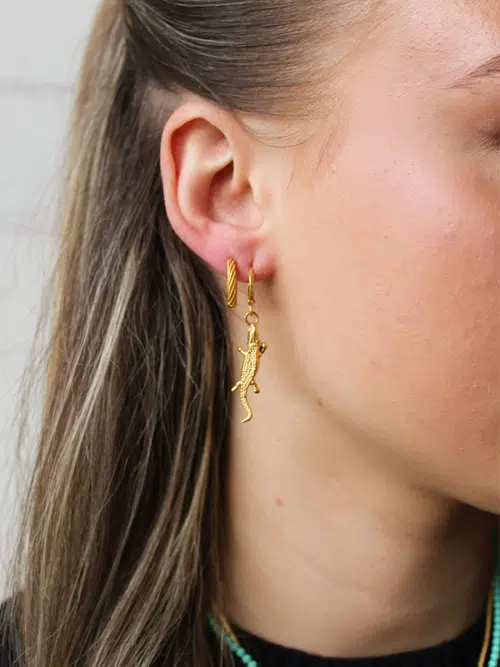 Oorbellen Mini Krokodillen