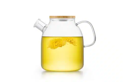 Theepot Samadoyo 1.6l glas