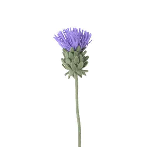 Vilt bloem Blooming Artichoke