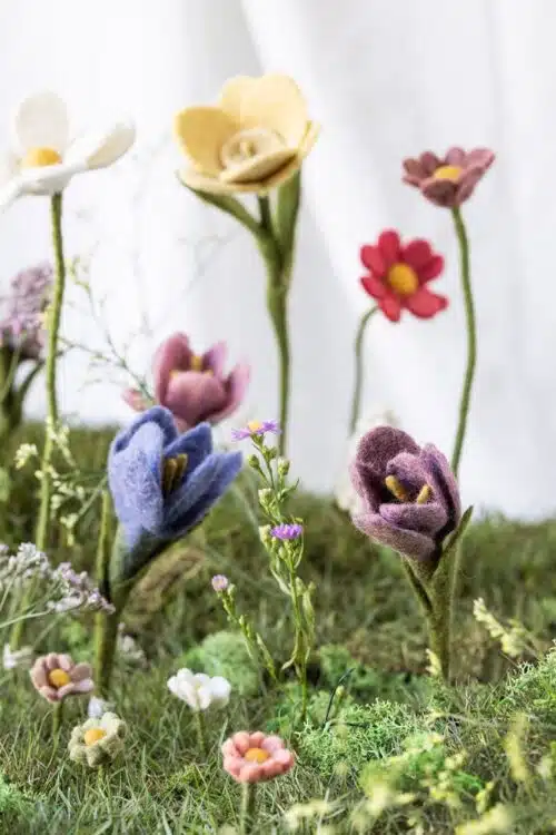 Vilt Krokus Lichtpaars