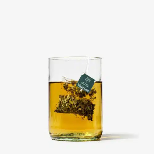 Wilder Land Opkicker Blend - 20 theezakjes