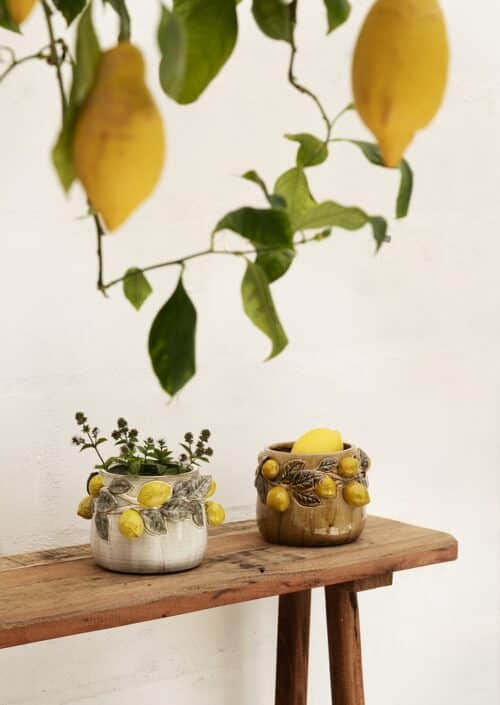 Bloempot Citroenen Wit