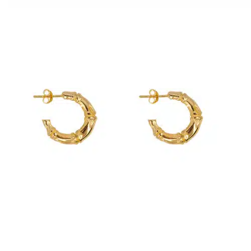 Oorbellen Bamboo Stud Hoop
