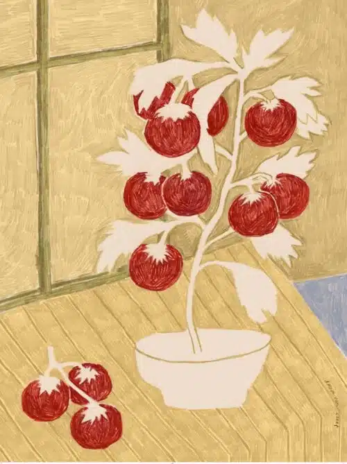 Print "Tomatoes" 30x40