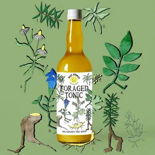Foraged Tonic siroop 340ml
