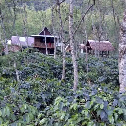 Indonesië Sumatra Espresso Organic