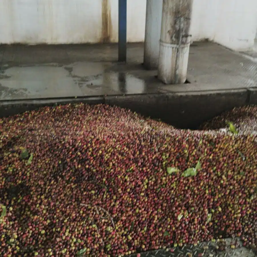 Indonesië Sumatra Espresso Organic