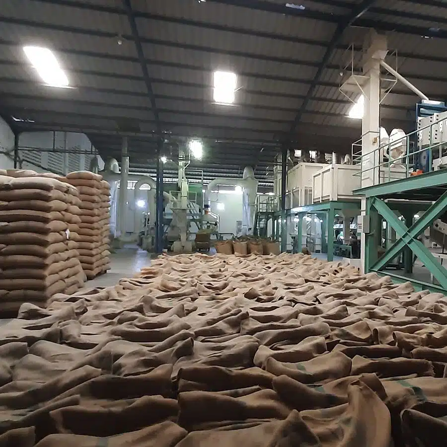 Indonesië Sumatra Espresso Organic