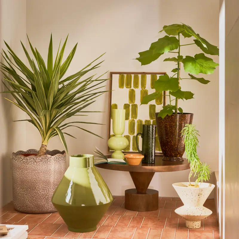 Jug Hammered Banana Palm