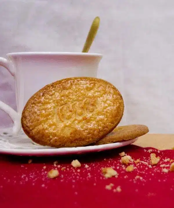 Blik boterkoekjes Les Grandes Galettes pur Beurre