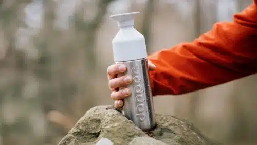 Insulated 580ml large - Zilver