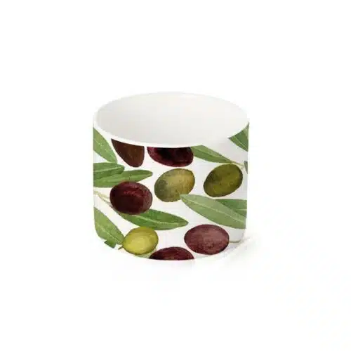 Schaaltje FBC - Olives