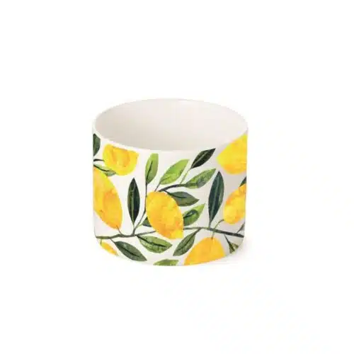 Schaaltje FBC - Tracey's Citronella