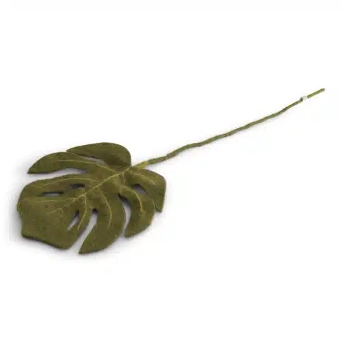 Vilten tak Monstera