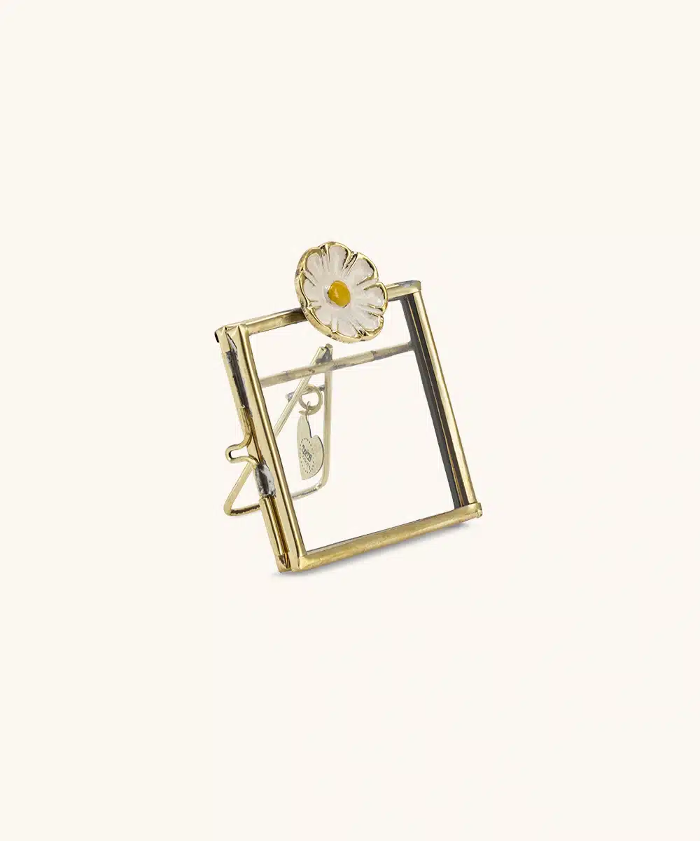 Mini Frame Posy Daisy