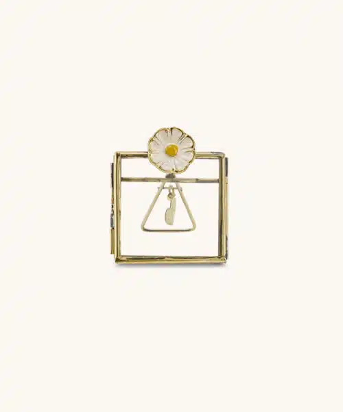 Mini Frame Posy Daisy